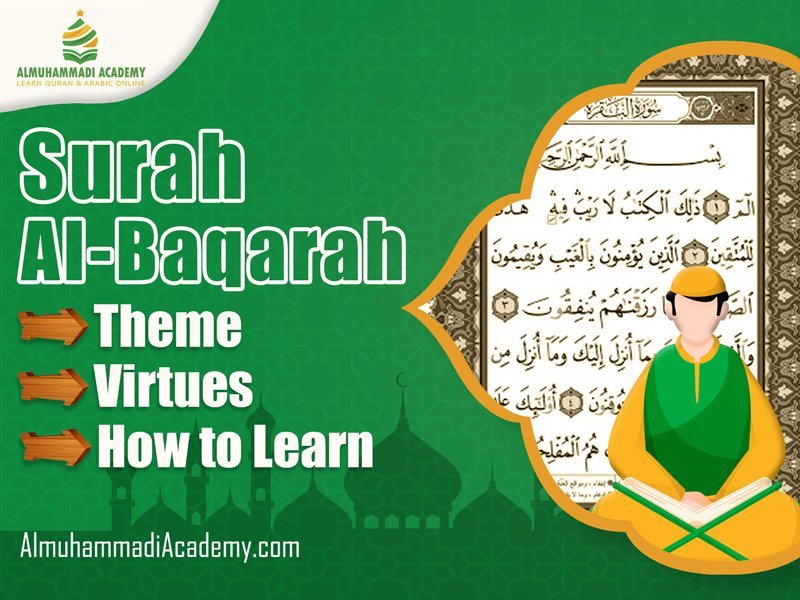 Surah Al-Baqarah Theme, Virtues, and How to Learn - Almuhammadi Academy