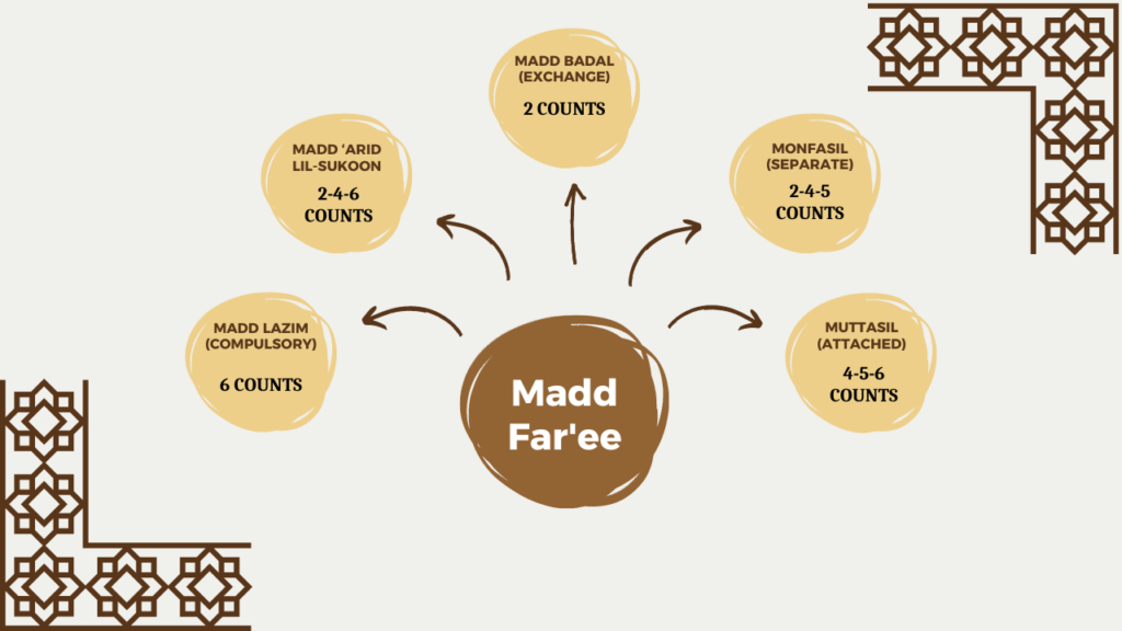 types of madd