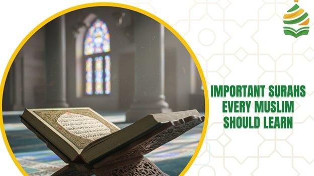 Important Surahs muslims should learn